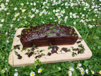 Grüne Schätze in der Stadt - Kulinarische Führung durch den Stadtpark